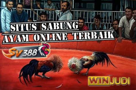2WAYBET: Situs Judi Slot & Sabung Ayam Online Terbaik.
